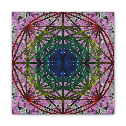 Evolving Forms — [Five]