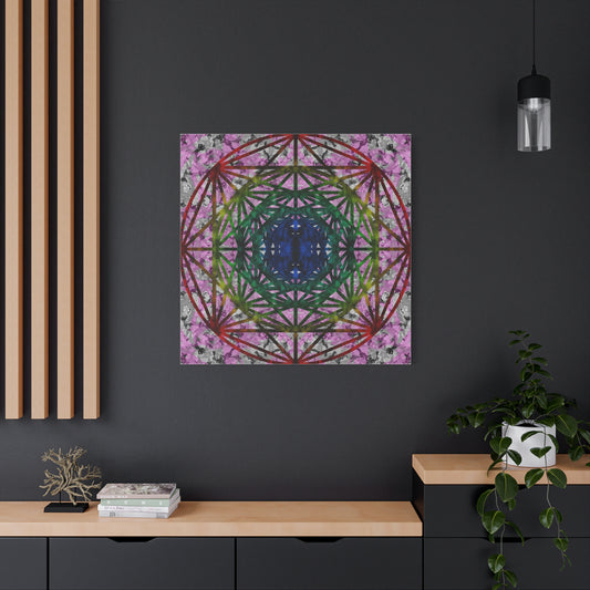 Evolving Forms — [Five]